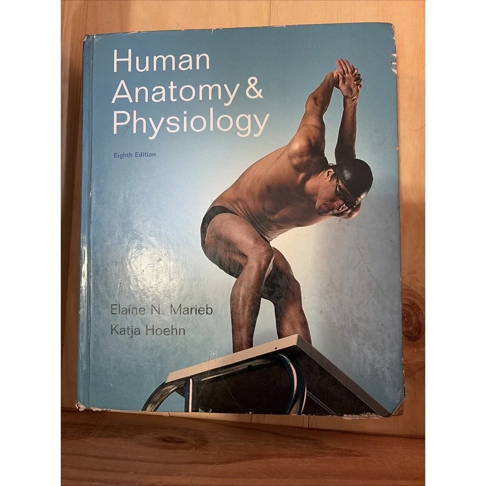 Human Anatomy And Physiology  by Elaine Marieb